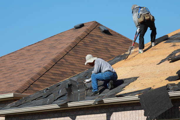 Best Gutter Replacement  in Barnesville, GA